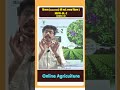 ICR Developed New Variety IGFRI - DL-2
