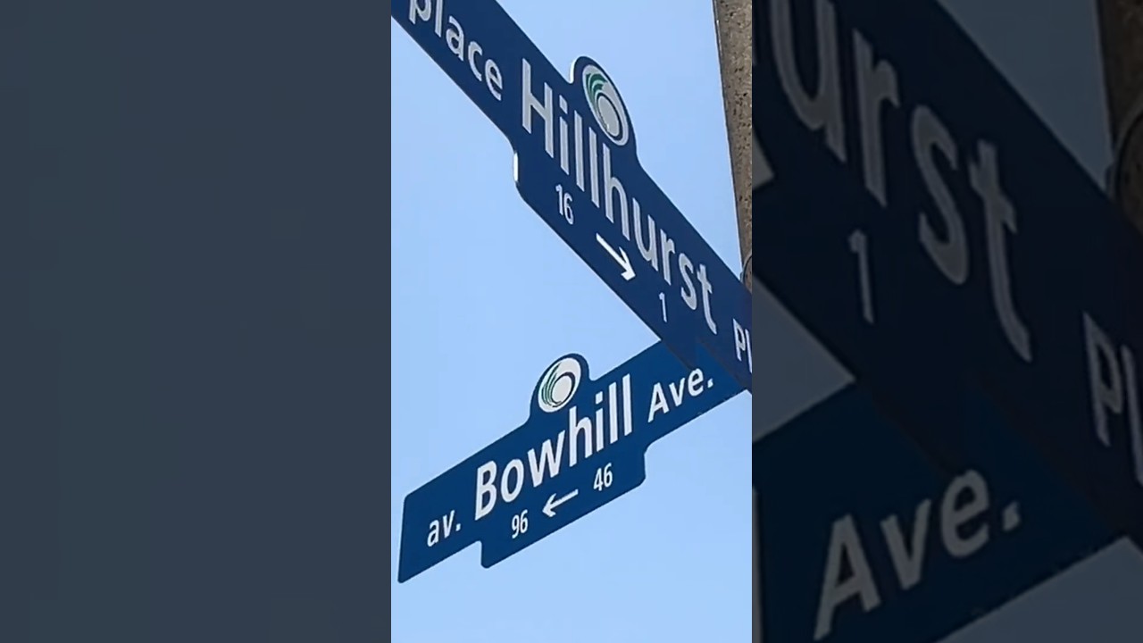 Is This The Most Peaceful Street Ever?