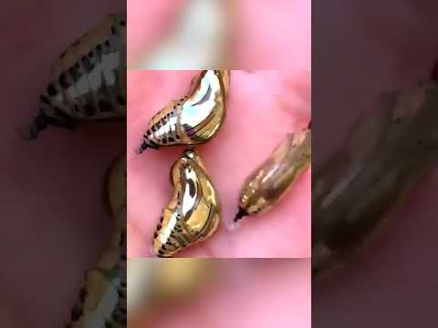 Платье Круэллы из этих живых блестяшек.