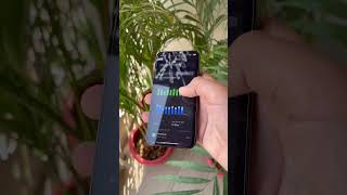 iPhone 12 Pro on iOS 16.4.1 - No bugs