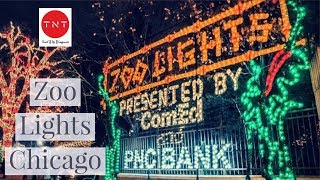Christmas Special- Lincoln Park Zoo Lights | Chicago 2019 Lincoln Park Zoo Lights Chicago 2019