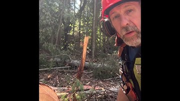 Skip chain or semi or full comp?