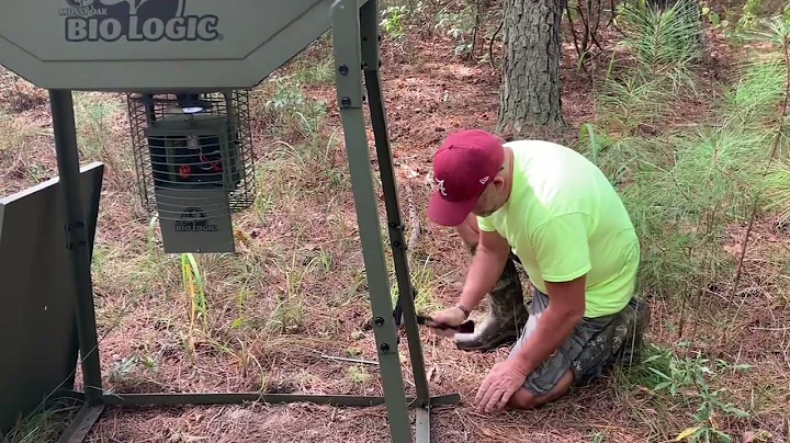 Deer feeder placement and set up.