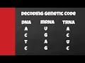From DNA to Protein: Decoding the Journey of Genetic Information