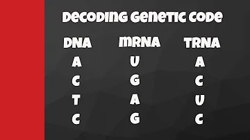 How does tRNA know which amino acids to take in?