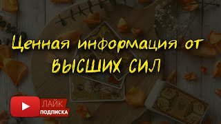 Не совершайте ошибку во второй раз… помощь от Высших Сил 🙏