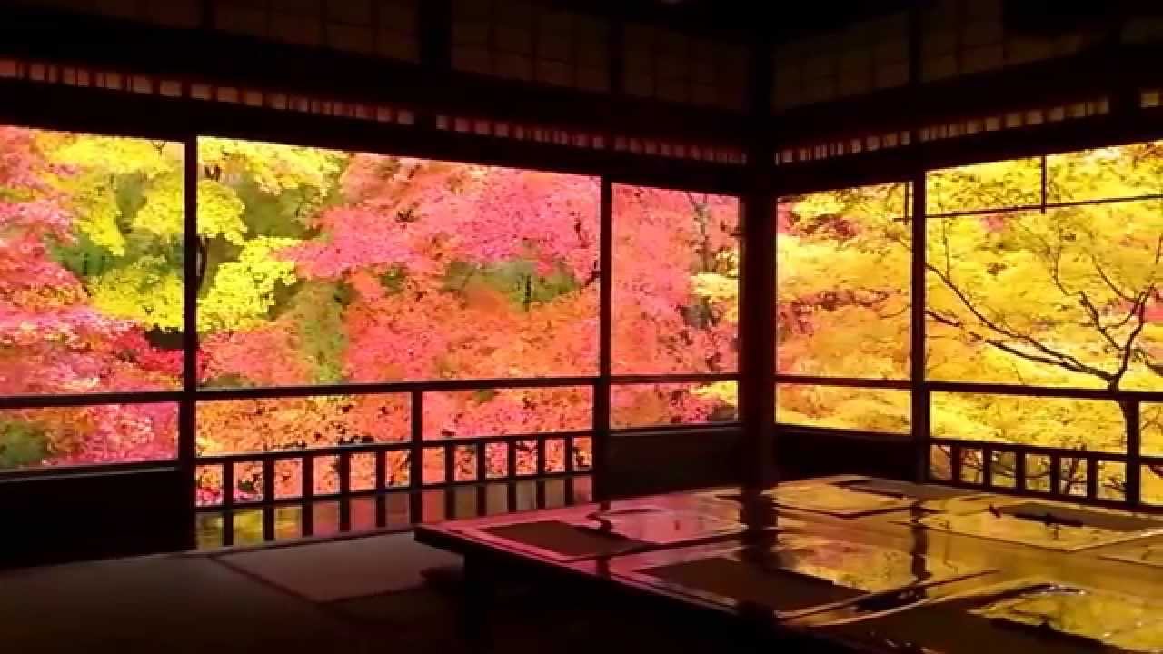 14 京都 瑠璃光院 2 二階 紅葉 Kyoto Ruriko In Temple Autumn Leaves Youtube 14 京都 瑠璃光院 2 二階 紅葉 Kyoto Ruriko In Temple Autumn Leaves Youtube