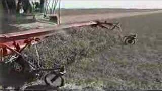 Sund Raking Pickup in Peas