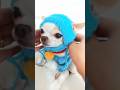 ドラえもん犬の猫ニット帽【ちわえもん】Crochet How to DORAEMON チワワの耳出しドラ帽子