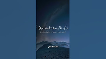 تلاوة هادئة للقارئ أحمد نفيس #قران_كريم #قران #قرآن_كريم #تلاوات_خاشعة #اكسبلور  #قرآن #احمد_النفيس