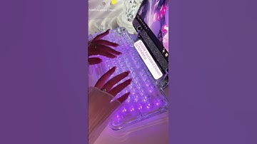 CK98 Polar Bear Keyboard 🐻‍❄️ RGB Typing ASMR