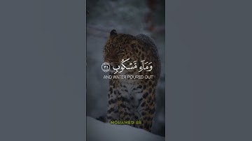 وأصحاب اليمين ما أصحاب اليمين في سدر مخضود // ما تيسر من #سورة_الواقعة -الآية 28 🎧🎧