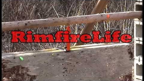 Champion .22 Diamond Pop-Up Target