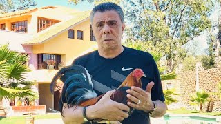 Don Víctor Tame - En el peso está la base del Gallo