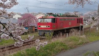 EF510-15 (4094列車)