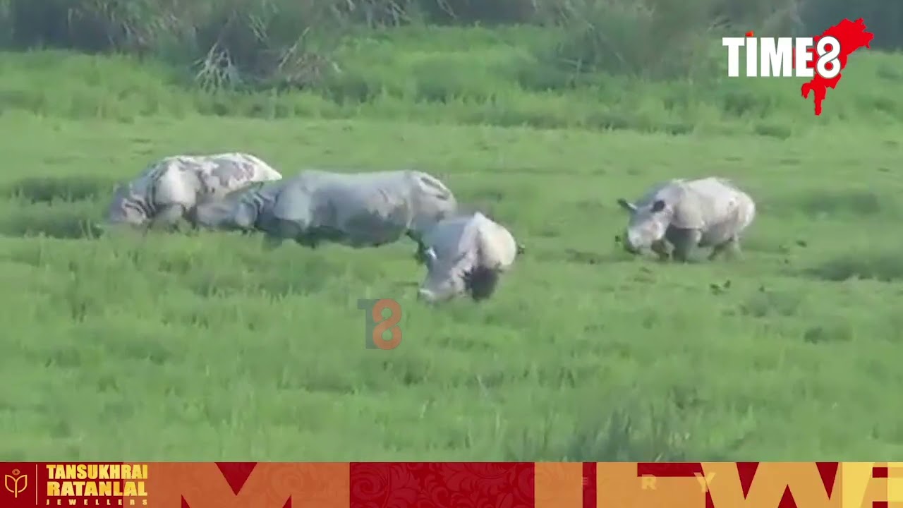 আজিৰে পৰা পৰ্যটকৰ বাবে মুকলি হ'ল ওৰাং ৰাষ্ট্ৰীয় উদ্যান