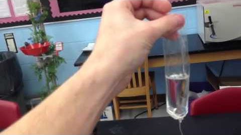 Diffusion and osmosis lab setup part 4: filling the dialysis tube