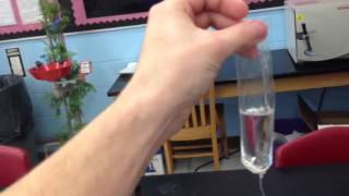 Diffusion And Osmosis Lab Setup Part 4 Filling The Dialysis Tube