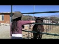 A day at shiloh horse ranch starring jen spraul720p version