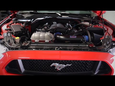 BBK Cold Air Intake Installation And Dyno Test on 2015 Mustang GT - YouTube