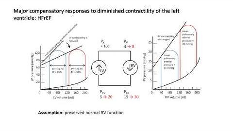 Cardiovascular System Response to Left Ventricular Failure