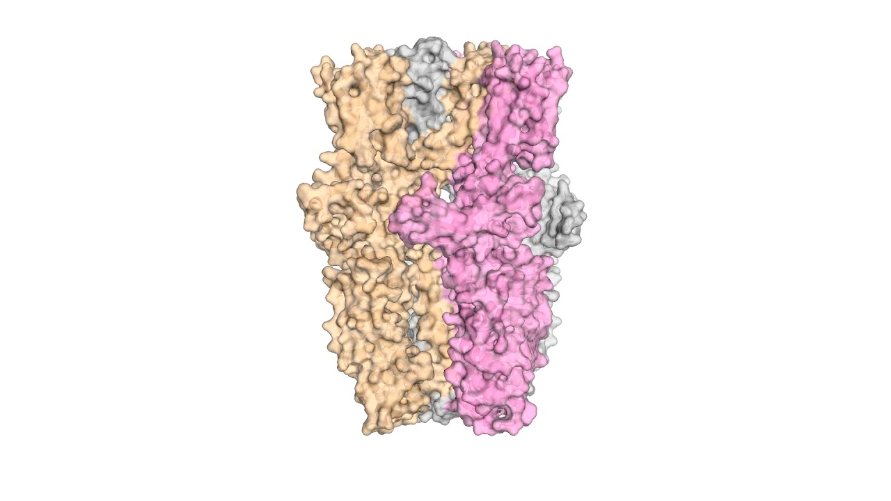 ‘Wasabi Receptor’ detects wide variety of toxic chemicals