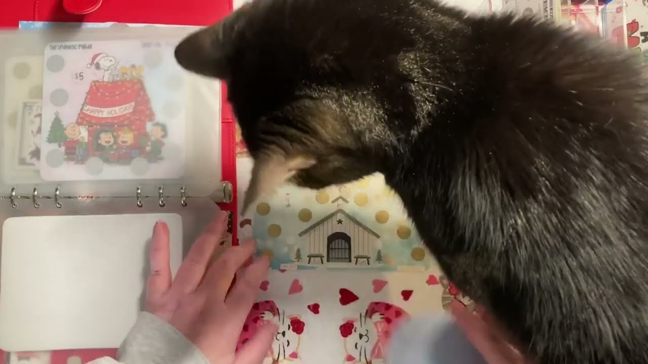 Cash Stuffing Our Christmas Binder 🎄