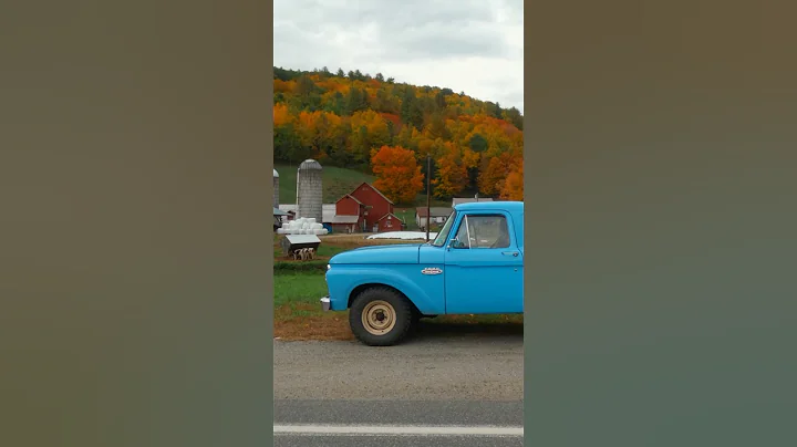 Best Fall Foliage in the World #autumn #fallfoliage #fall