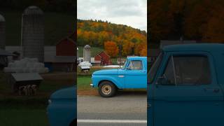 Best Fall Foliage in the World #autumn #fallfoliage #fall