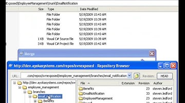 Subversion Tutorial Part 4   How to Use SVN   Ayoka Lunch n