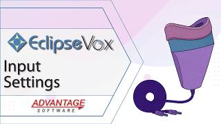 EclipseVox with Dragon - Input Settings