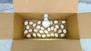 How to make incubator at home \/\/ How to make an incubator at home and hatch chickens eggs