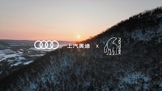 Nordisk x SAIC Audi