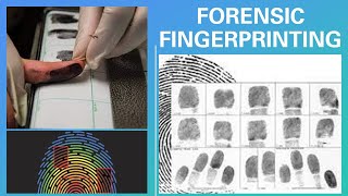 Forensic Fingerprint Collection Explained in 4 Minutes