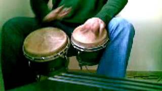 Bongopassion-Antonio en el Bongo-Ruben Blades y Willie Colon-Plastico