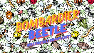Creation vs Evolution - CSI Kid's camp (Week 2) - Bombardier Beetle