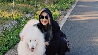 #36: Cái tôi | Xanh Lá