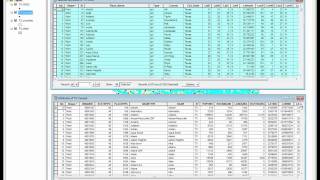 Working with the attribute table