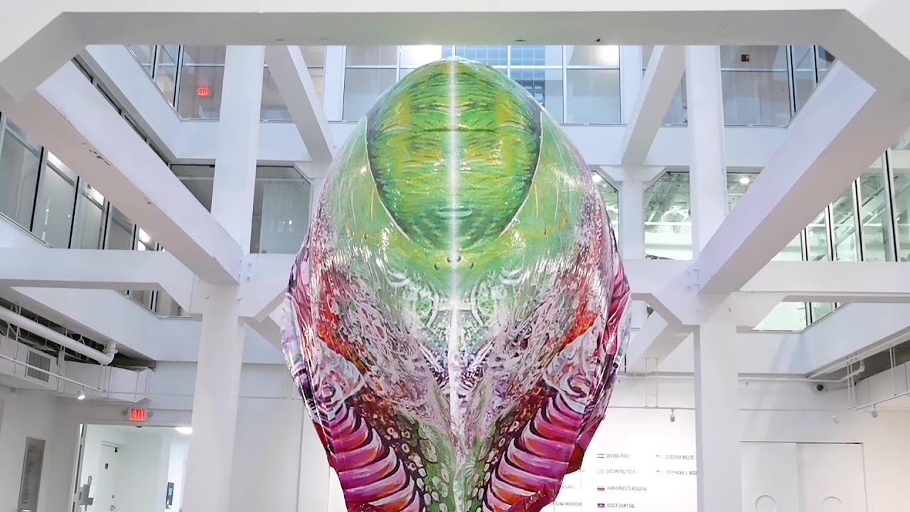 Video of Inter|Sectionality: Diaspora Art from the Creole City - YouTube