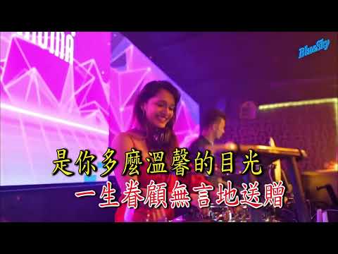 真的愛你DJ (卡拉ok)