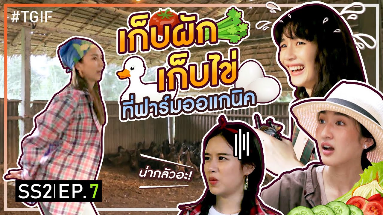 ทริปสุดชิลล์ เที่ยวฟาร์มออแกนิค เก็บวัตถุดิบทำกับข้าวเอง! | #TGIF SS2 EP.7