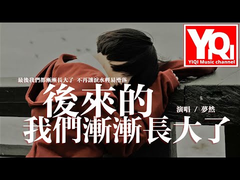 夢然 - 後來的我們漸漸長大了『最後我們都漸漸長大了，不再讓淚水輕易滑落。』【動態歌詞/Vietsub/Pinyin Lyrics】
