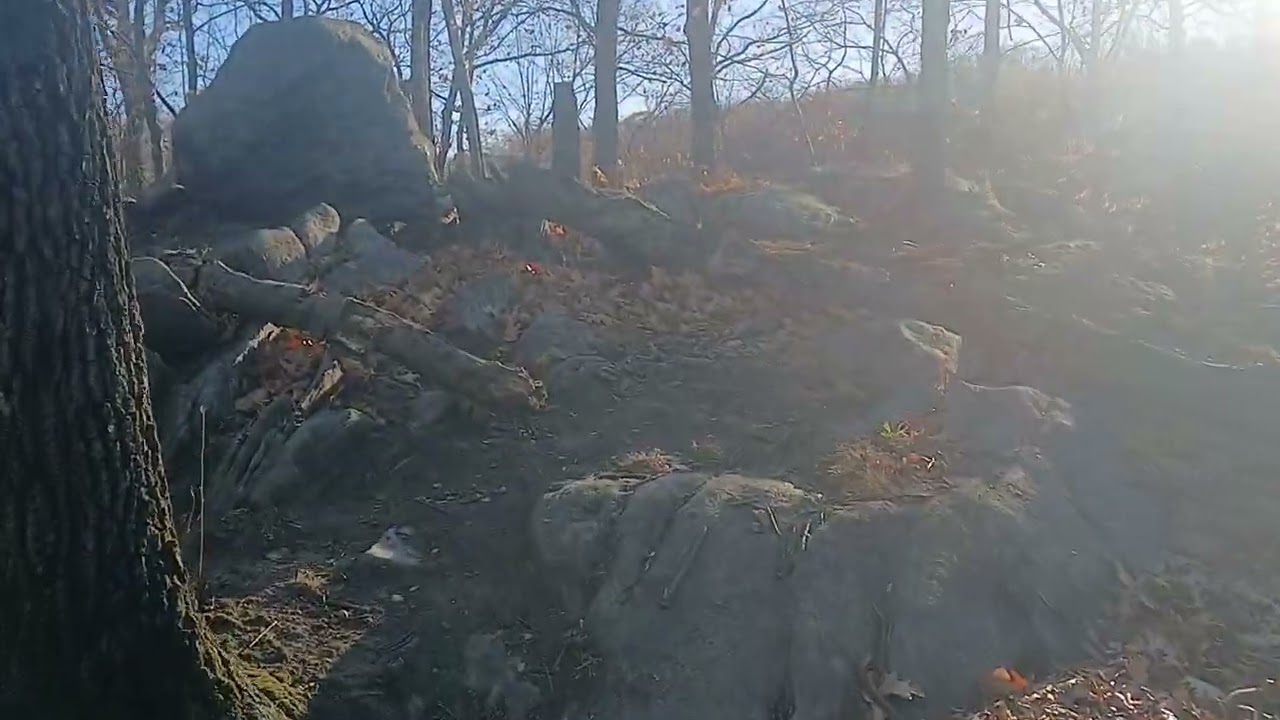 Autumn of New York - Sprain Ridge Park