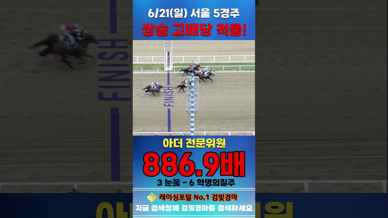 [서울 경마] 6월 21일 일요 5경주 아더 전문위원 쌍승 고배당 적중 #한국마사회 #horse #하이라이트 #automobile #경마#riding#뉴스#게임#smartphone
