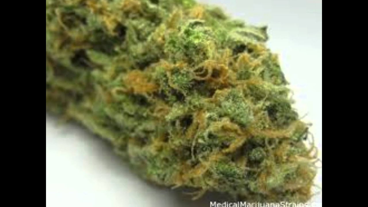 best weed ever