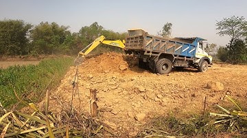 Loading Soil JCB Backhoe In Tipper Video @droneplanet2040