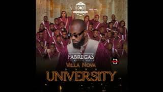 Fabregas le Métis Noir ft. Light Music Villa Nova - Wumela