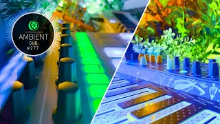 Ambient // DUB // Atmospheric Breaks //Analog Synths - Live! [EP-277]