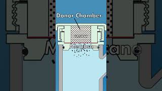 Performing IVRT with Teledyne LABS' Pheonix DB-6 Manual Diffusion System