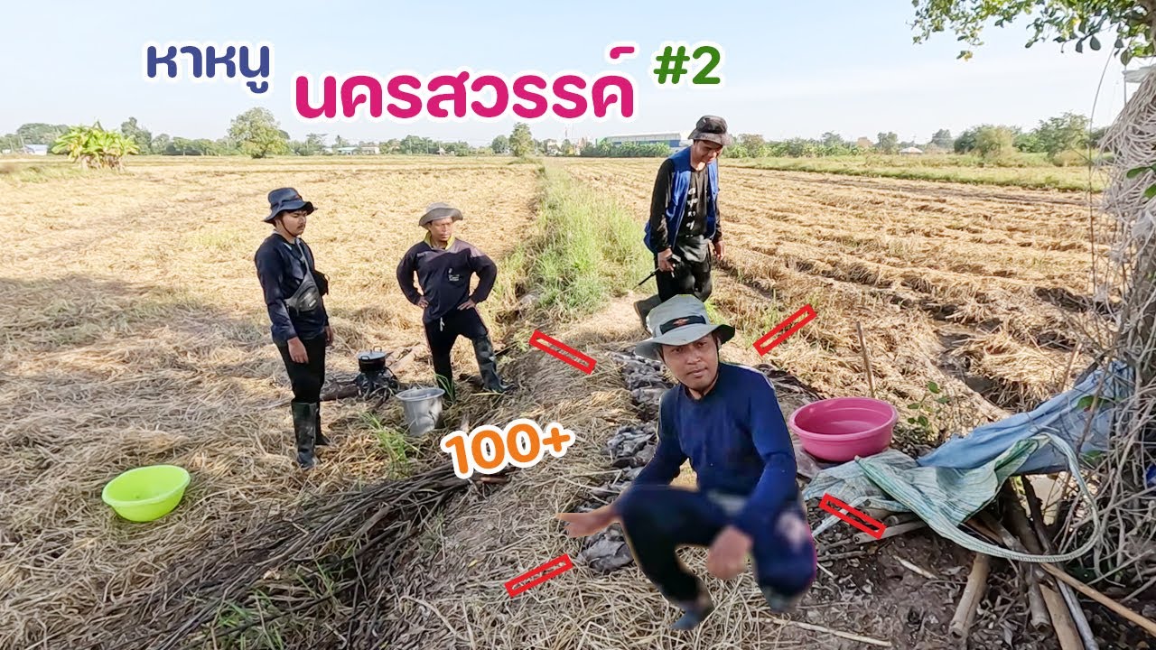 หาหนูนครสวรรค์ คืนที่ 2 วันนี้หมานมาก ติดเรียงๆ ผลงานทะลุ 100